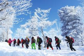 2023-2024长白山红松王滑雪场门票多少一张