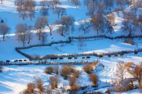 承德元宝山滑雪场游玩攻略-门票价格-景点信息