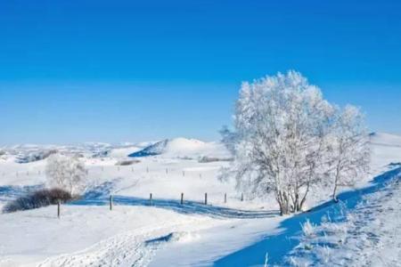 承德元宝山滑雪场游玩攻略-门票价格-景点信息