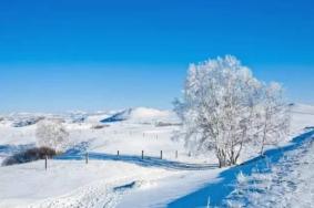 2023-2024承德元宝山滑雪场门票多少钱