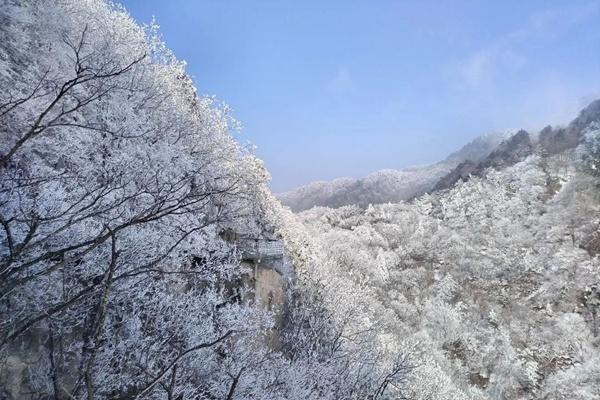 河南老界岭冬季游玩攻略