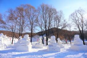 玉泉镇王老师滑雪场怎么样