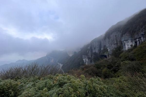 金佛山北坡和西坡哪里好玩