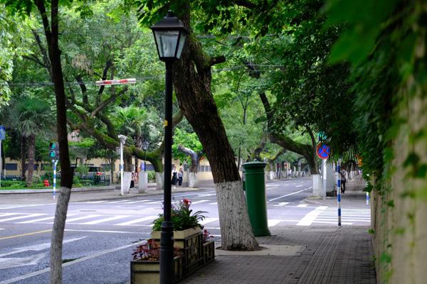 南京最美的梧桐大道在哪里