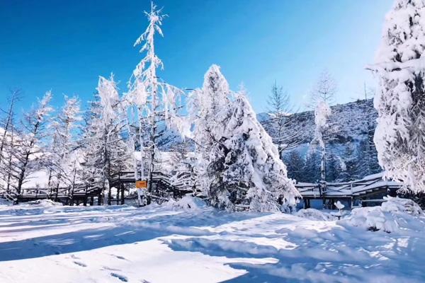 鷓鴣山自然公園滑雪場在哪里