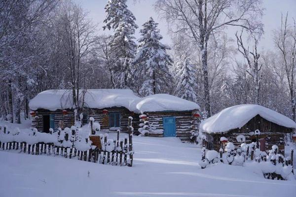 2023哈亚雪旅游专线价格详情