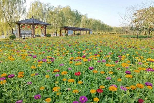 2024花朝河湾风景区门票多少钱