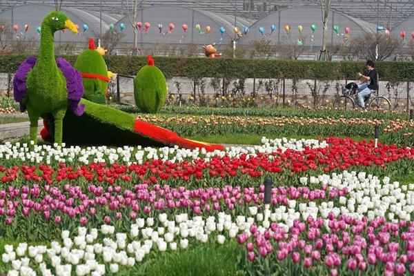 2024武汉东西湖郁金香主题公园游玩攻略-门票价格-景点信息