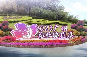 2023广州簕杜鹃花展活动详情