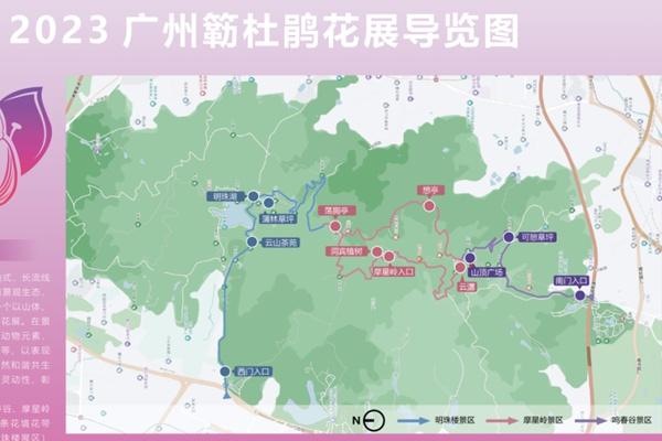 2023廣州簕杜鵑花展什么時候舉行 在哪舉行