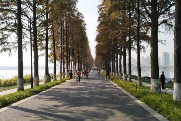 武汉东湖绿道从哪里玩起比较好