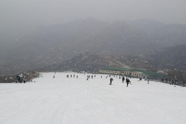 2023莲青山滑雪场游玩攻略 - 门票价格 - 开放时间 - 简介 - 地址 - 交通 - 天气 - 电话