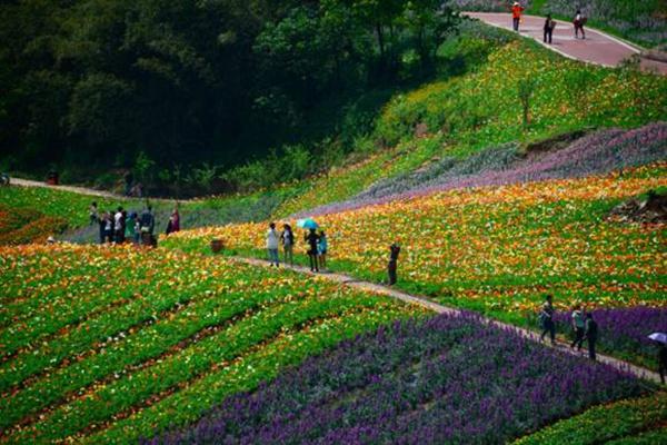 木蘭花海樂園表演時間