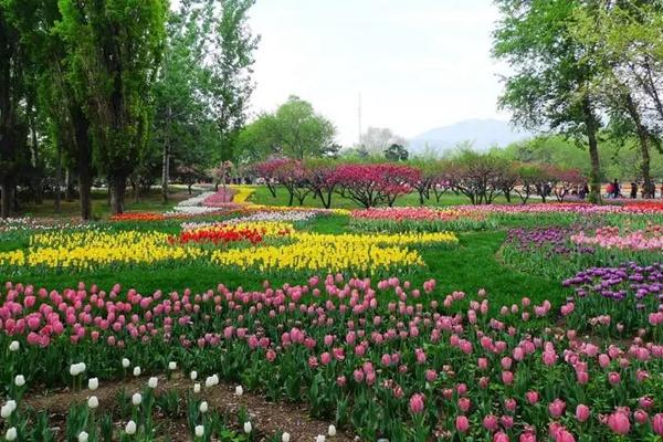 木蘭花海樂園適合幾月份去