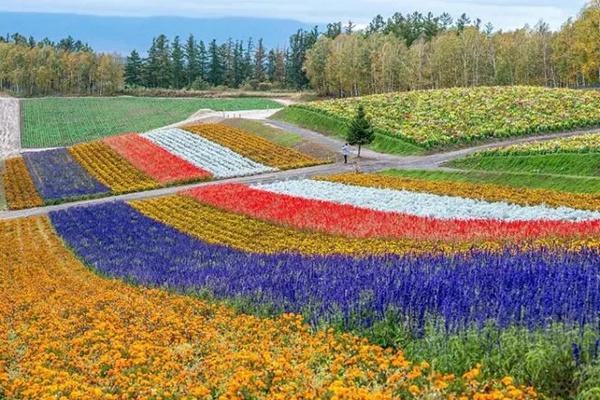 木蘭花海樂園適合幾月份去