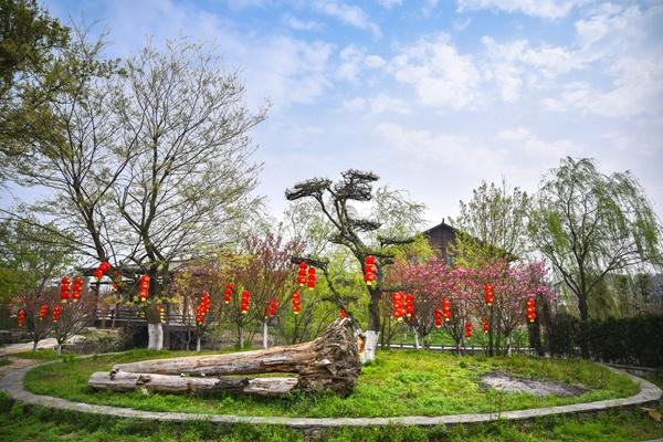 野村谷景區(qū)老年卡免費嗎