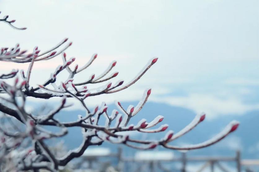 梵净山冬季有哪些好玩的地方
