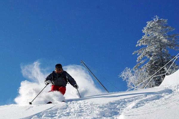 2023-2024大连林海滑雪场开放时间