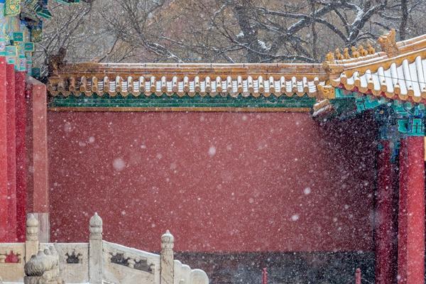 故宮年票可以幫別人預(yù)約嗎