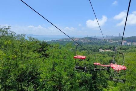 2023青岛中山公园旅游攻略 - 介绍 - 门票 - 地址 - 交通 - 天气 - 电话 - 开放时间