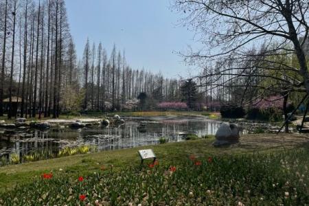 2023青岛中山公园旅游攻略 - 介绍 - 门票 - 地址 - 交通 - 天气 - 电话 - 开放时间