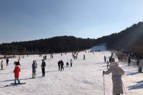 2023-2024泰西雪山峪滑雪场游玩攻略-门票价格-景点信息