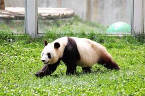 秦岭野生动物园淡季从什么时候开始