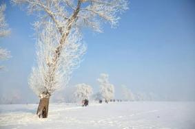 東北霧凇在什么地方