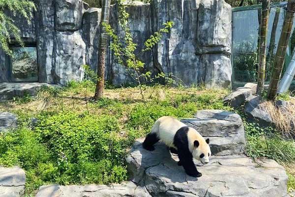 2023南京红山森林动物园免费开放日领券时间+方法