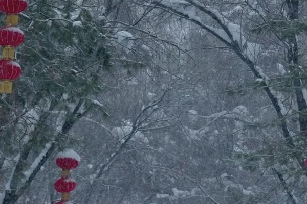 阿勒泰市除了滑雪還有哪些好玩的地方推薦