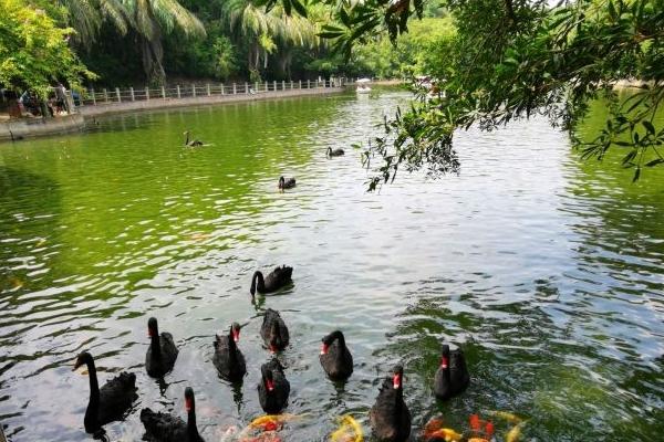 湛茂阳旅游联卡包含哪些景点