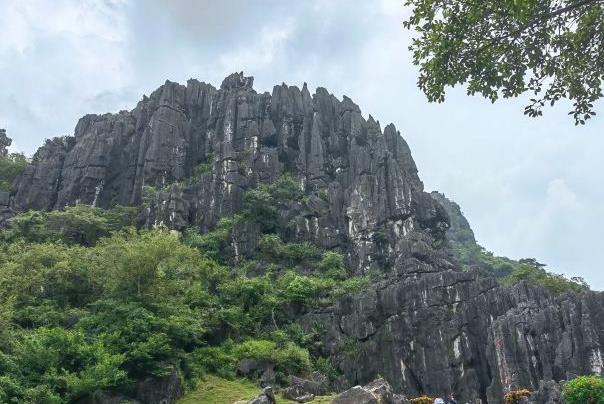 湛茂陽旅游聯(lián)卡包含哪些景點