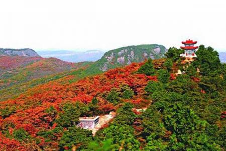 照金香山风景区旅游攻略-门票价格-景点信息