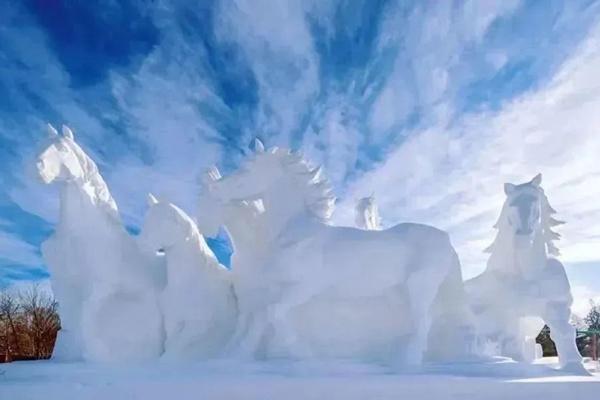 太陽島雪博會最全交通攻略