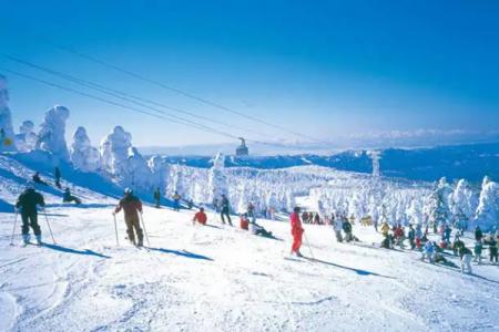 西柏坡温泉滑雪场游玩攻略-门票价格-景点信息