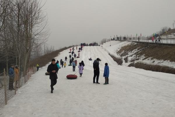 南高基滑雪場游玩攻略-門票價格-景點信息