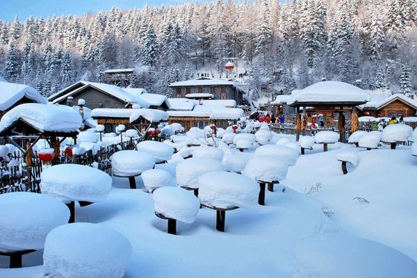 2023-2024雪季哈爾濱雪鄉門票多少錢一張