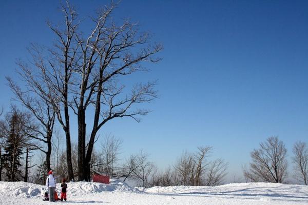 雪乡大宝滑雪场怎么去双峰林场方便