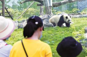 武汉动物园熊猫馆需要预约吗2023