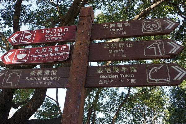 上海野生动物园一日游攻略 附游玩路线及必打卡景点