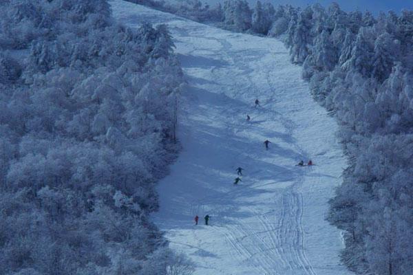神农架有几个滑雪场 哪个滑雪场更好