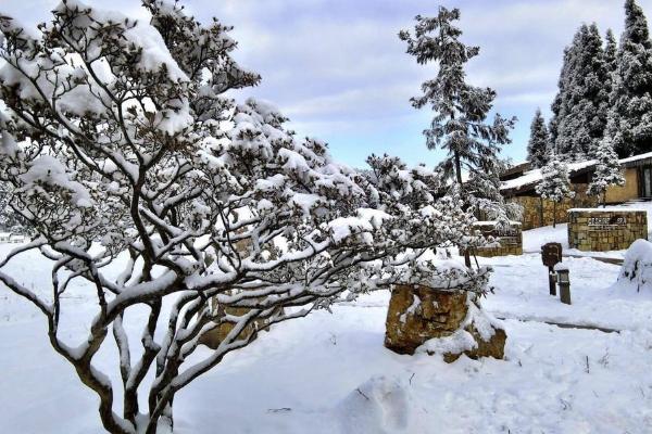 重慶看雪景去哪里好 重慶看雪景的最佳地點