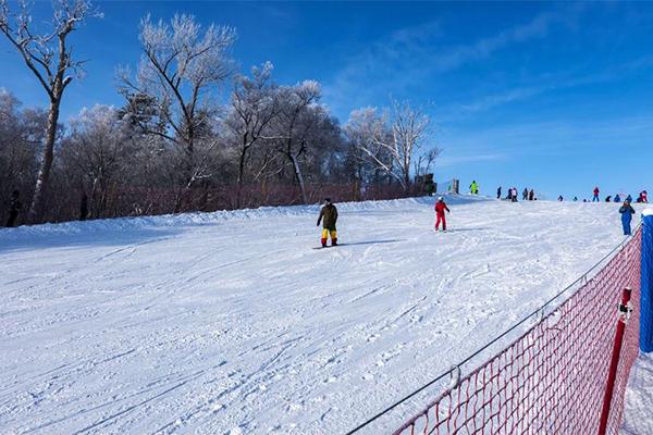 2024新亚布力滑雪场滑雪攻略-门票价格-景点信息