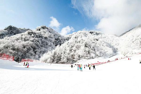 神農架一年四季都可以滑雪嗎