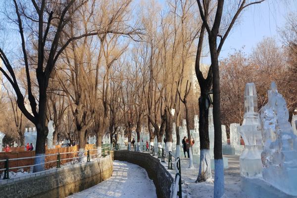 冬天去哈尔滨有什么好玩的景点