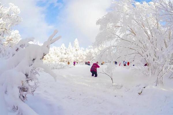 2023-2024吉林省雪博会开幕时间+地点