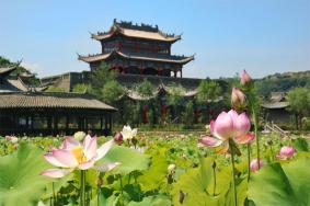 2024渭南桃花源民俗文化园游乐场开放时间