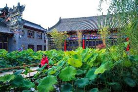 2024渭南桃花源民俗文化园门票多少钱