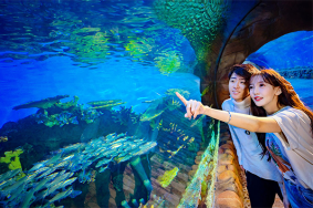 华夏文旅海洋公园出游攻略