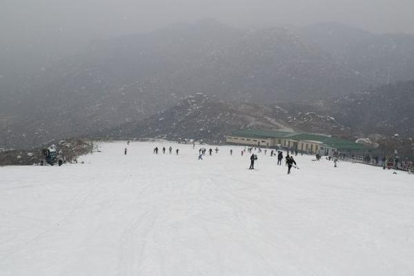 莲青山滑雪场门票优惠政策